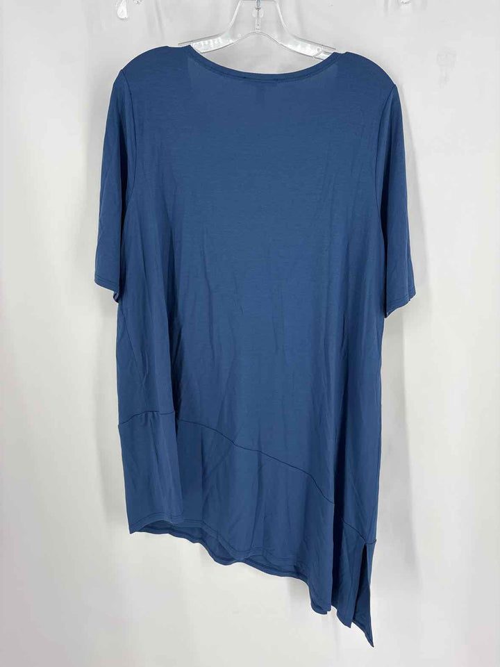 Size L Eileen Fisher Blue Shirt