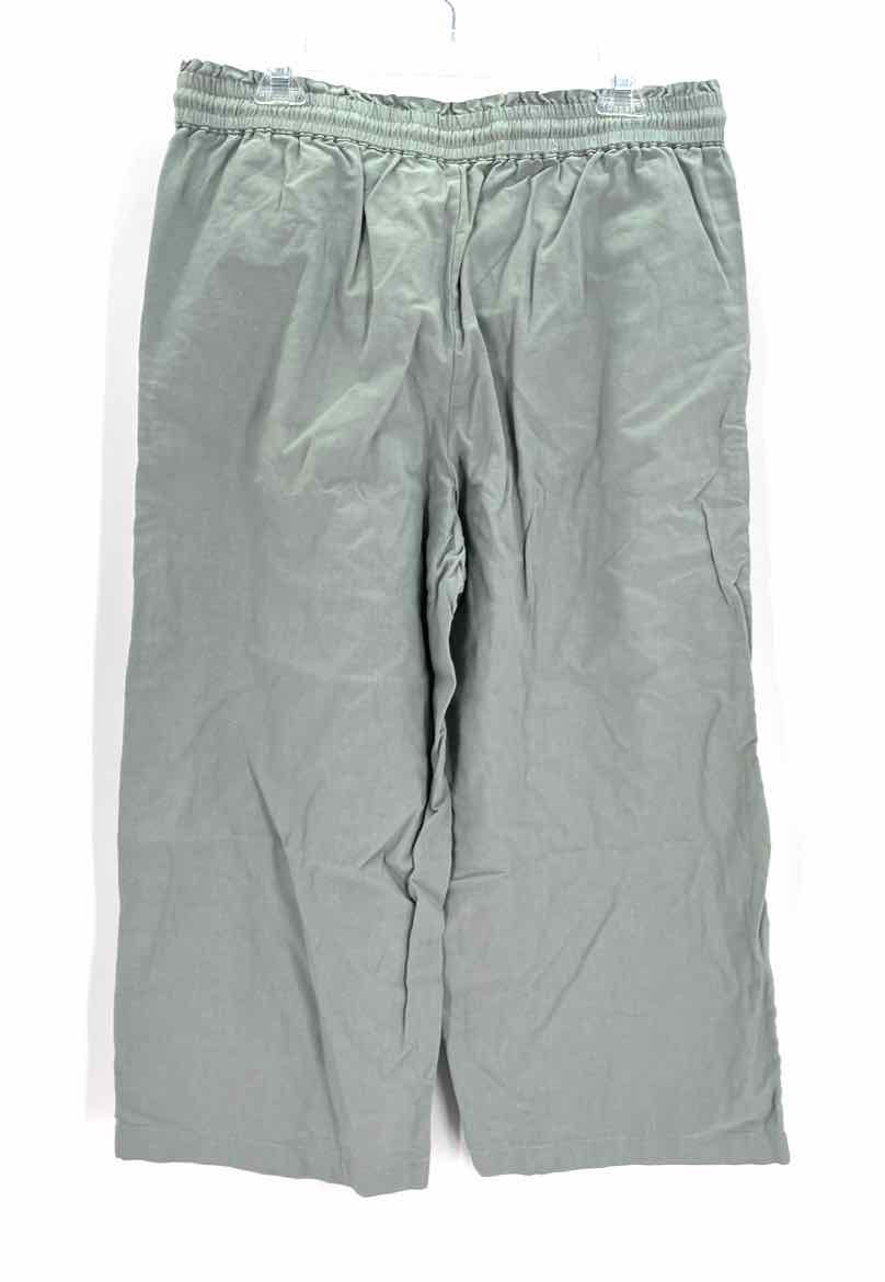 Size 14 J Crew Green Pants