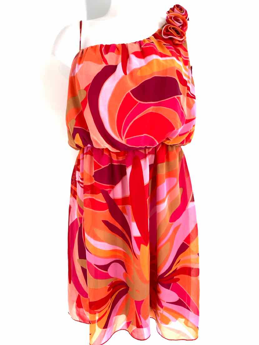 Size 4 Fuschia Dress