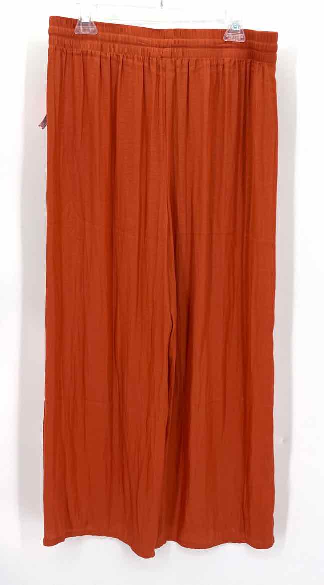 Size L RACHEL ROY Burnt Orange Pants