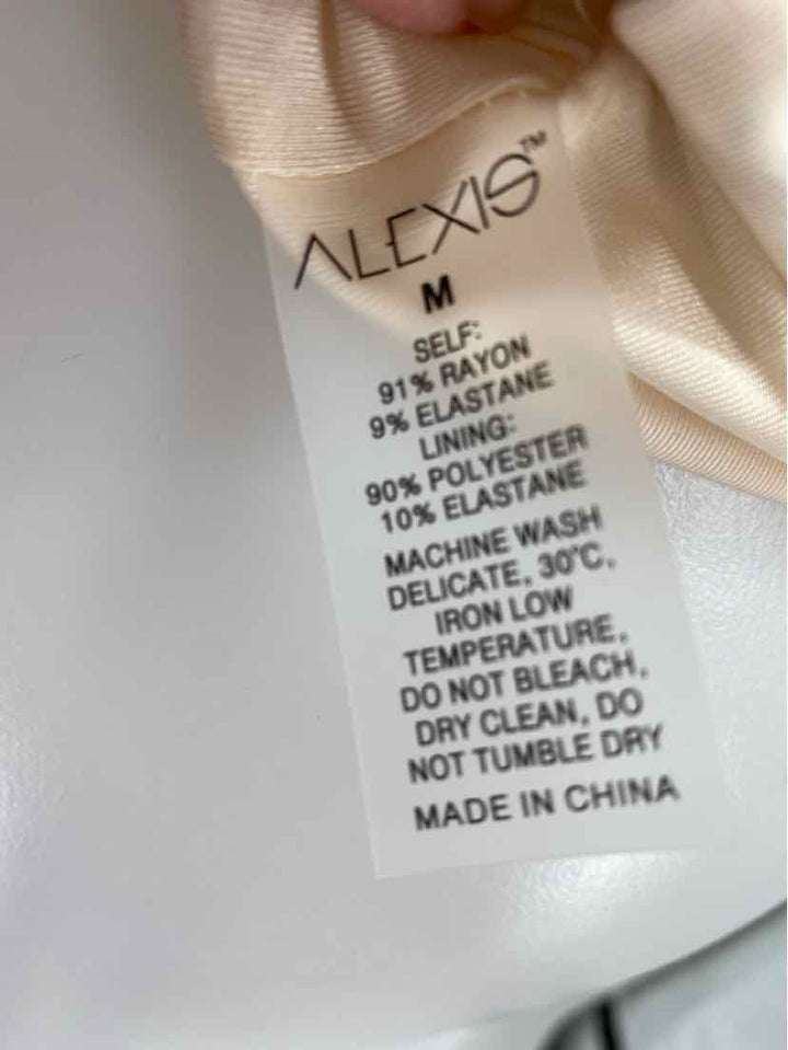 Size M ALEXIS Multi-Color Dress