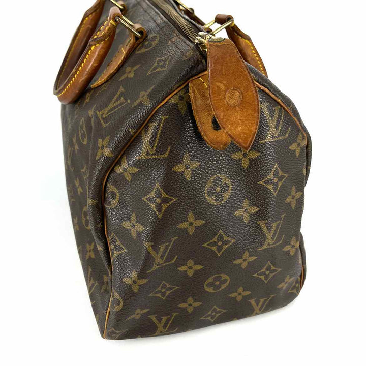 Louis Vuitton Luxury - Purse