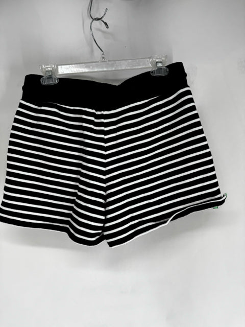 Size M Talbots Navy Shorts