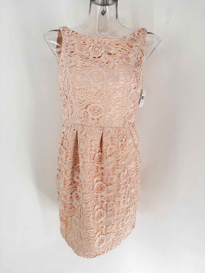 Size 8 AIDAN Pink Lace Dress