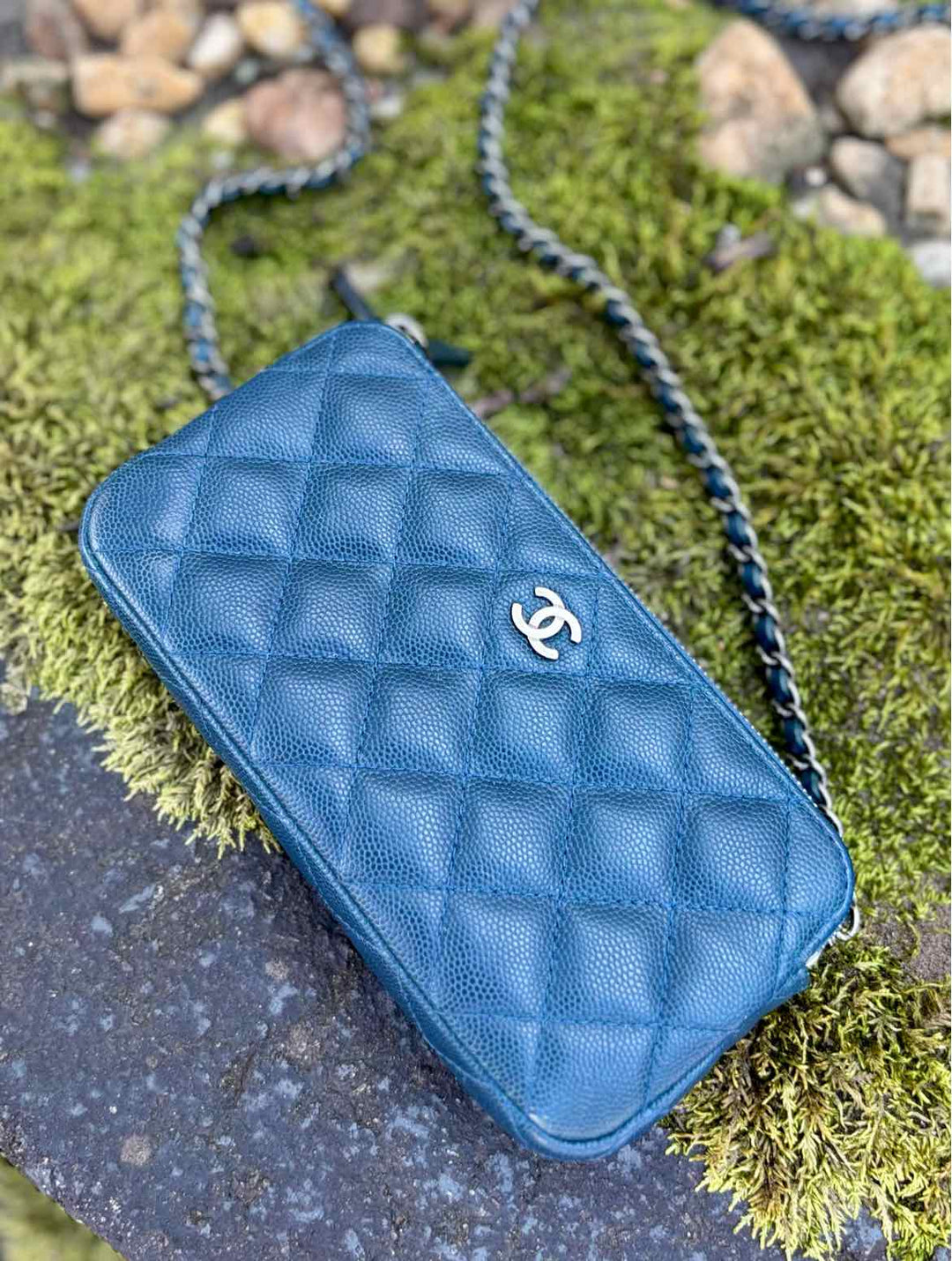 Chanel Luxury - Purse