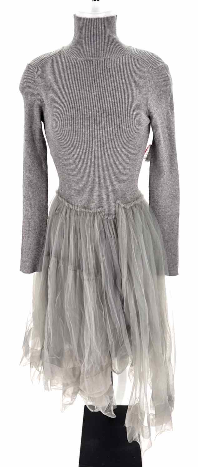 Size L Gray Dress