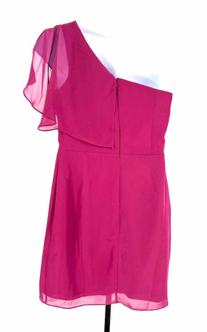Size 12 Fuschia Chiffon Dress