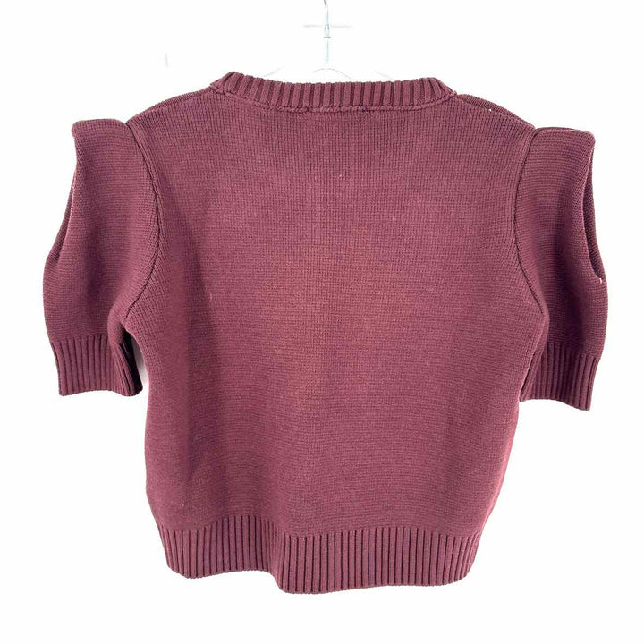 Size M ZARA Burgundy Sweater