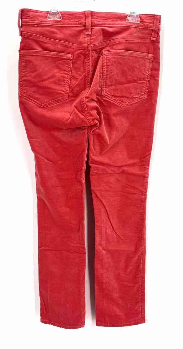 Size 27 RAG & BONE Coral Velour Pants