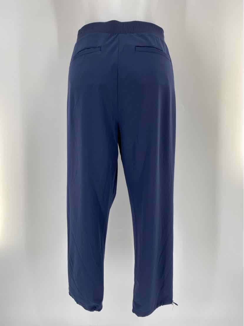 Size 10 Chico's Navy Pants