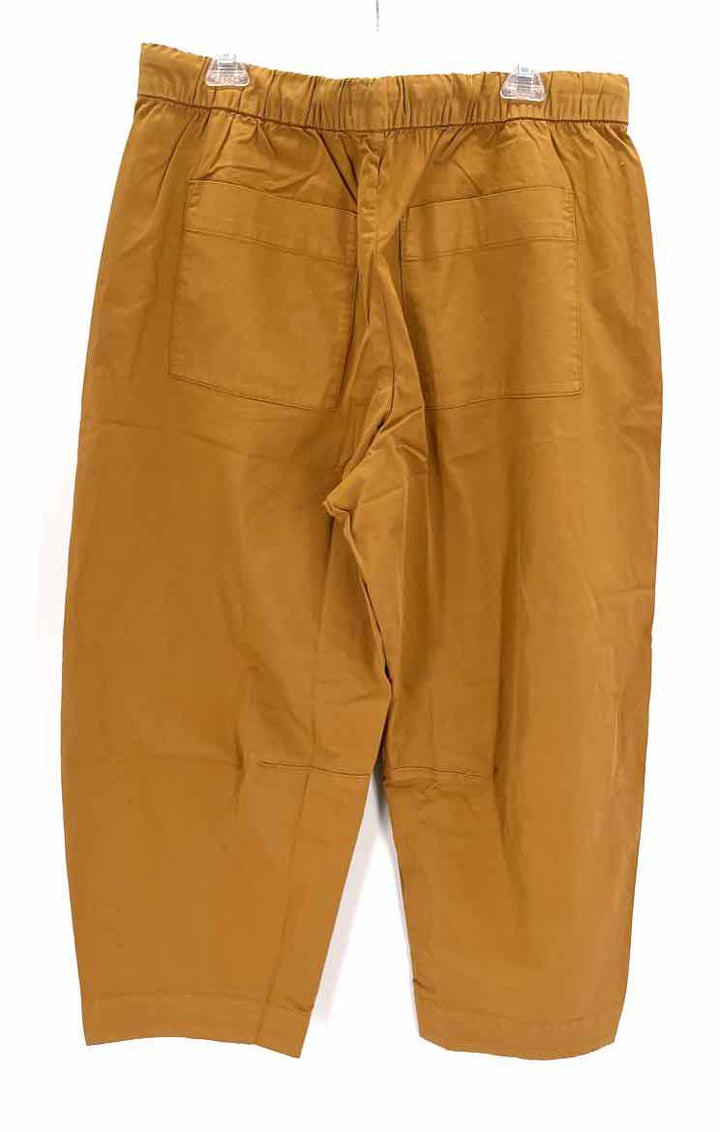 Size XL EVERLANE Tan Pants