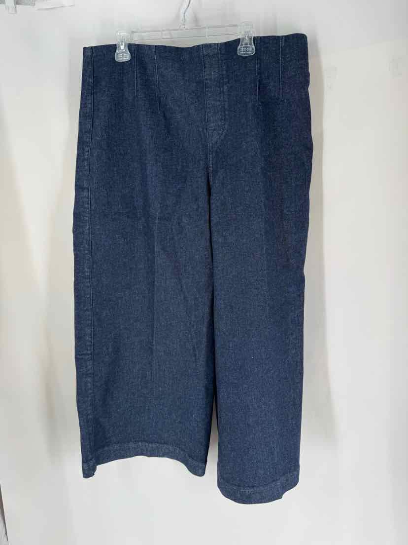 Size 2X SPANX Denim Pants