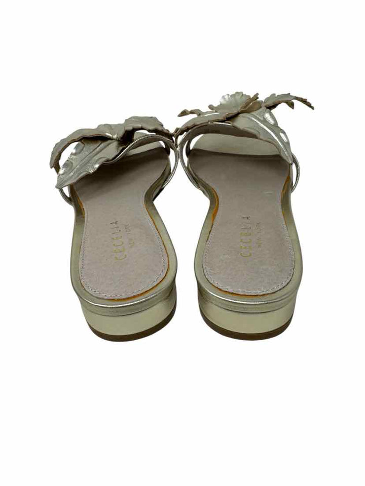 Shoe Size 7 Silver Sandals
