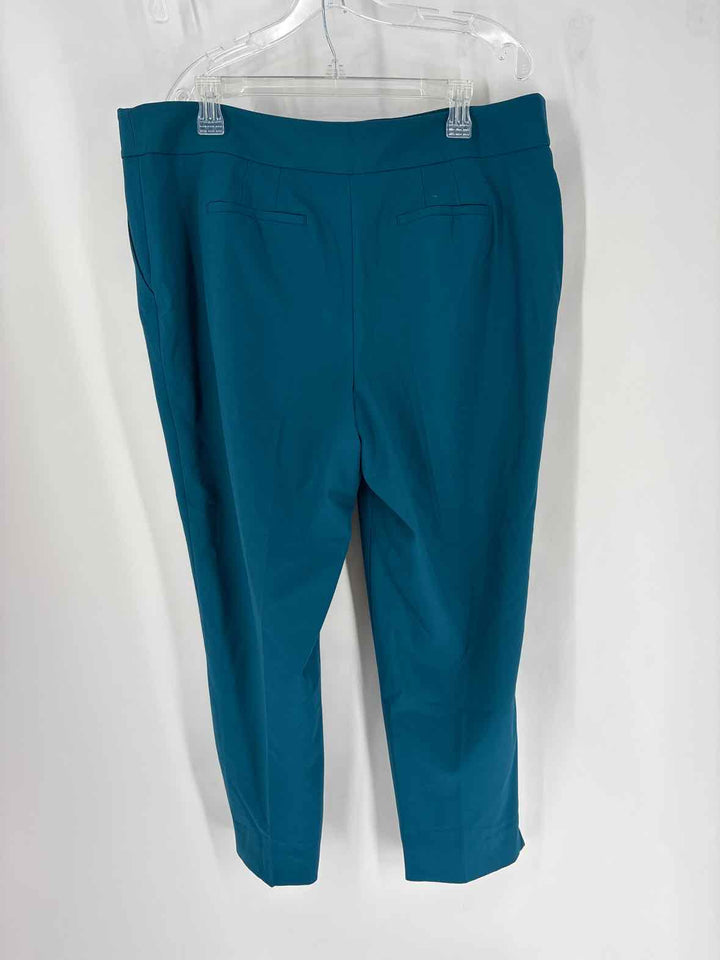 Size 16 Talbots Teal Pants