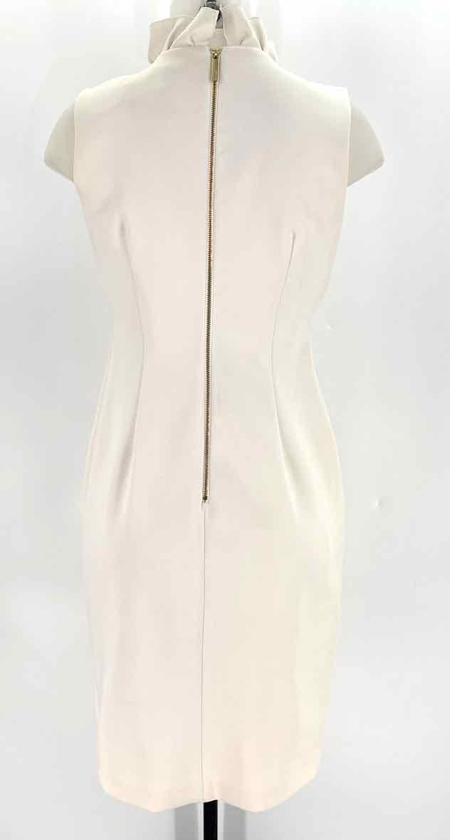 Size 4 Calvin Klein Ivory Dress