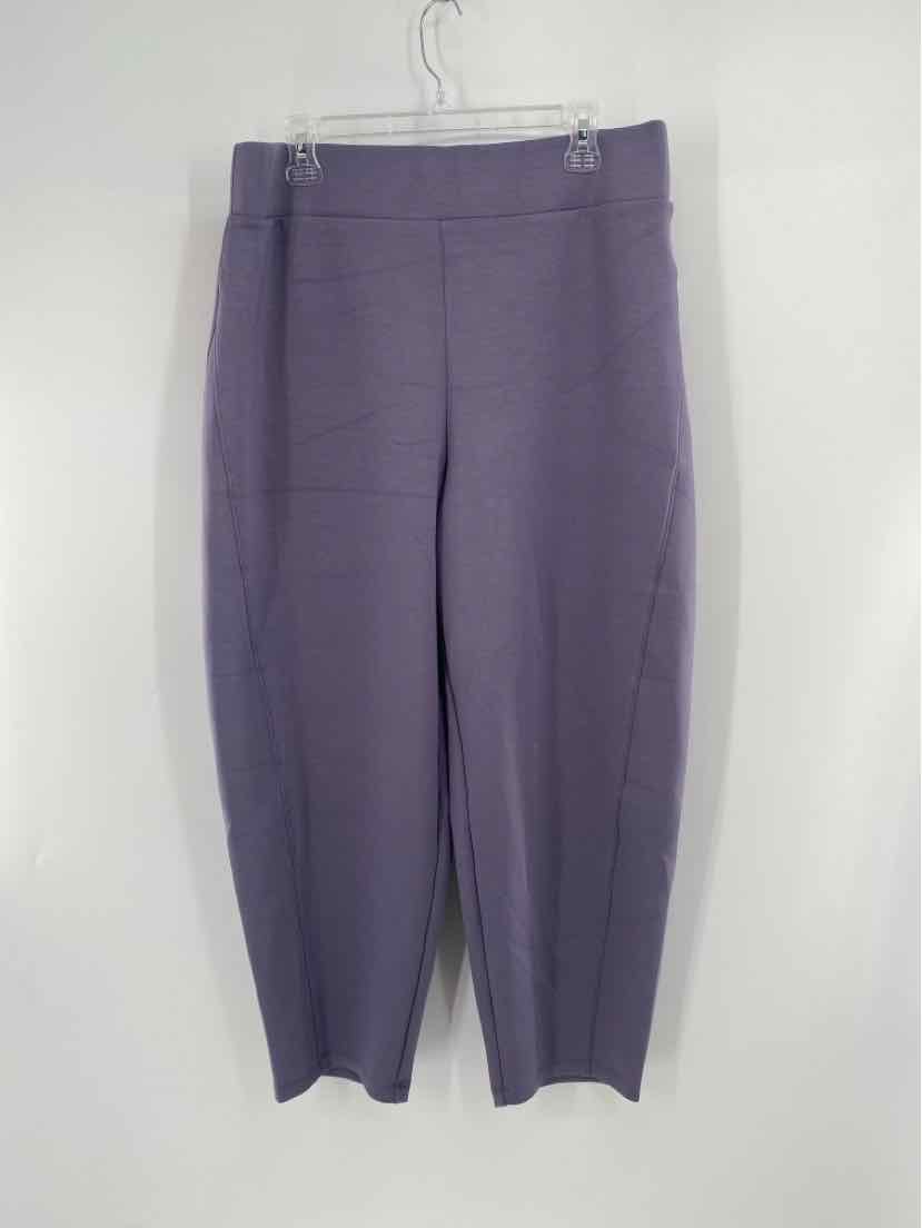 Size 1X SPANX Purple Pants