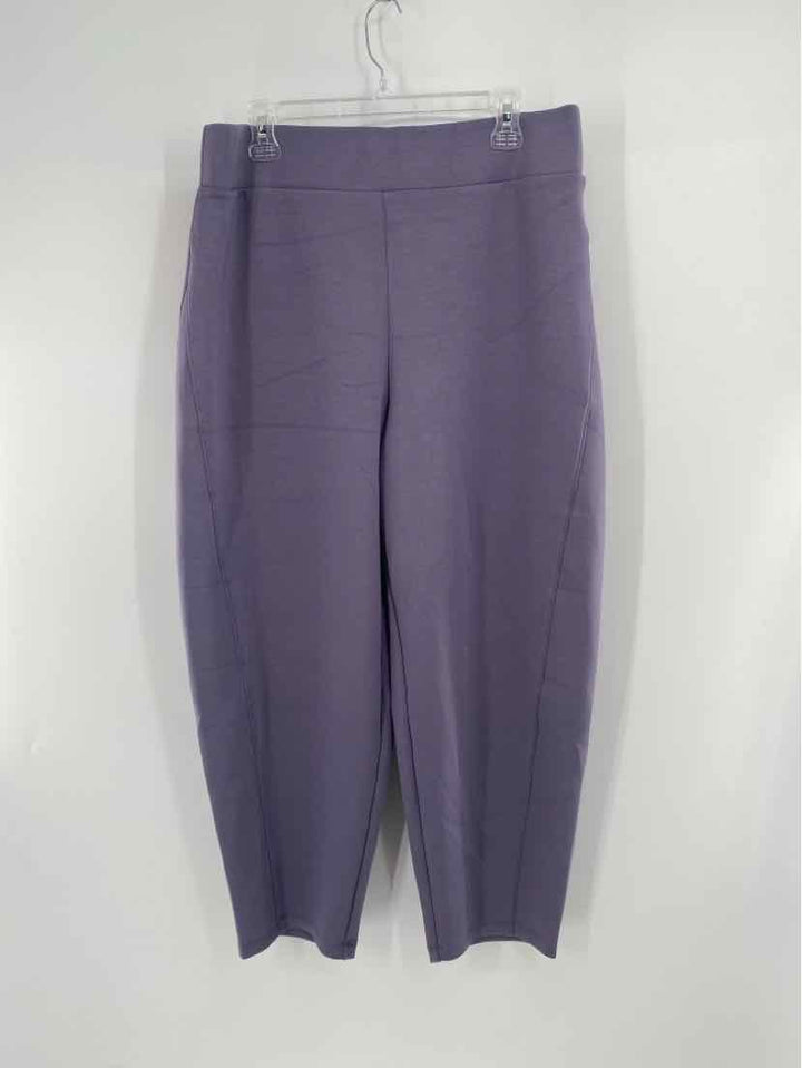 Size 1X SPANX Purple Pants