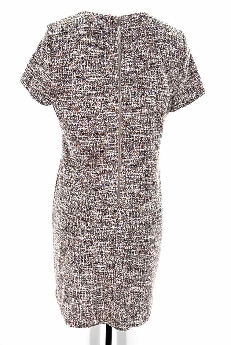 Size 14 Calvin Klein Multi-Color Dress