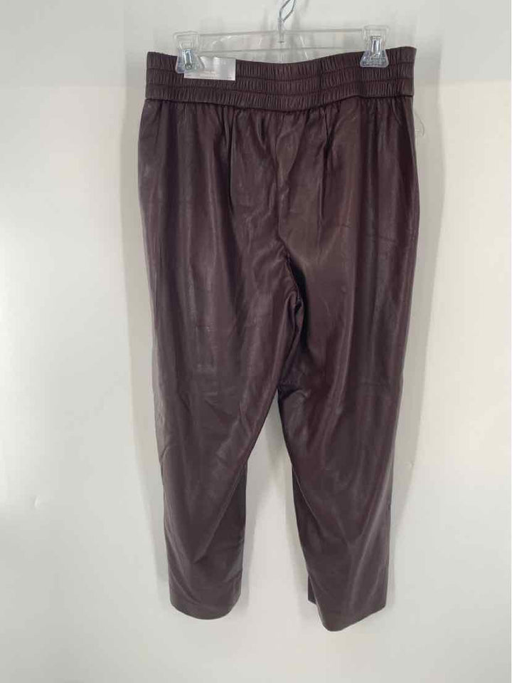 Size 10 Chico's Brown Pants