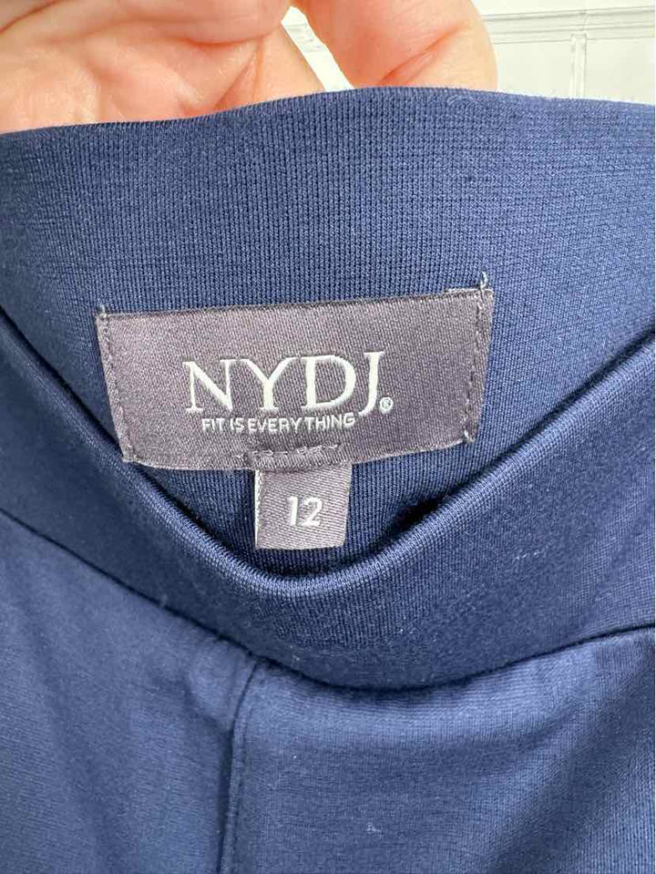 Size 12 NMDJ Navy Pants