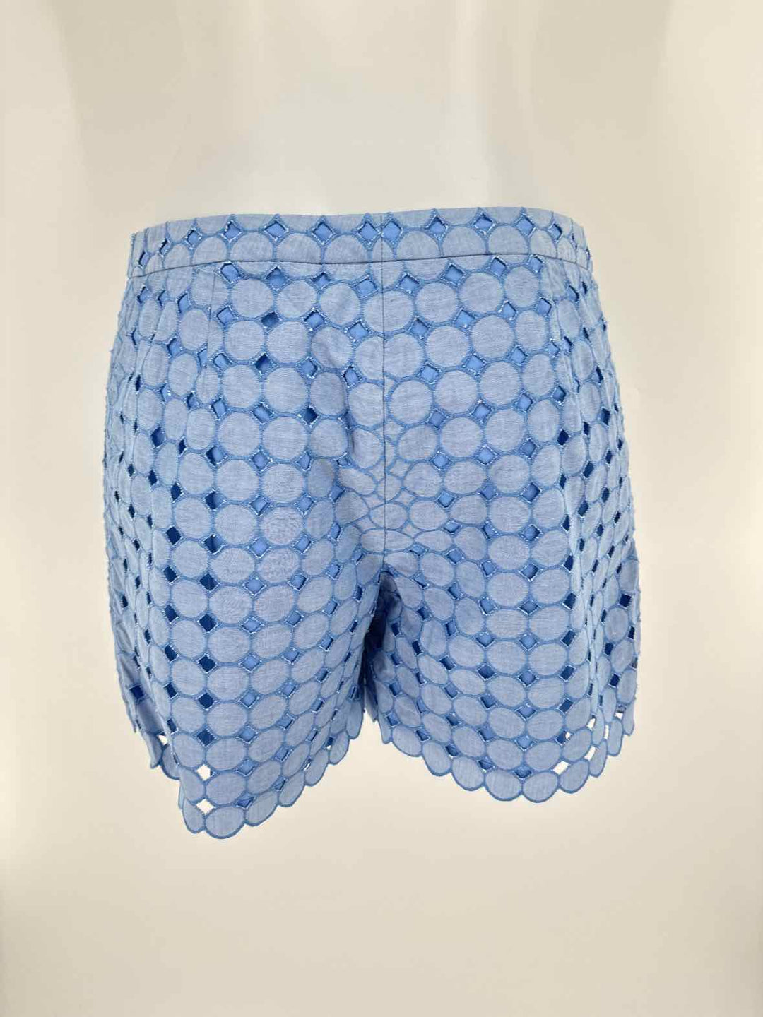 Size 6 J MCLAUGHLIN Blue Shorts