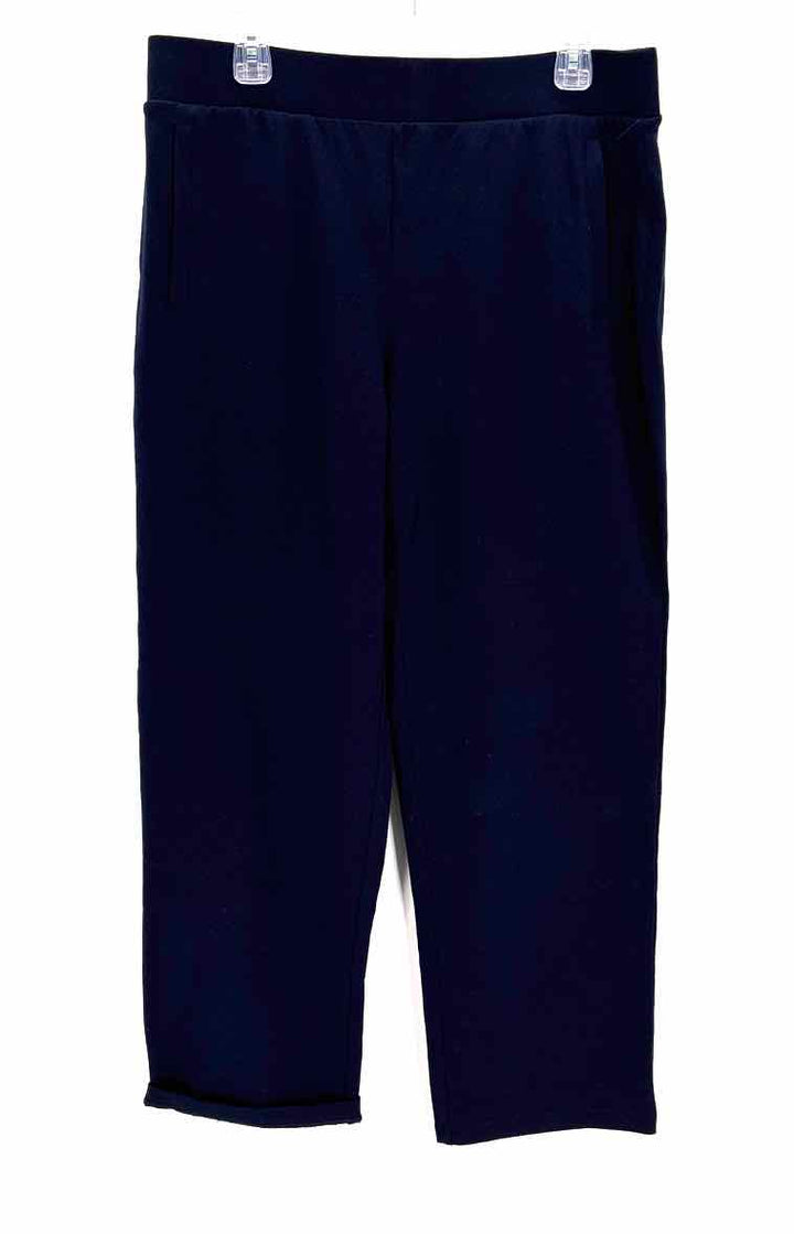 Size L Talbots Navy Pants