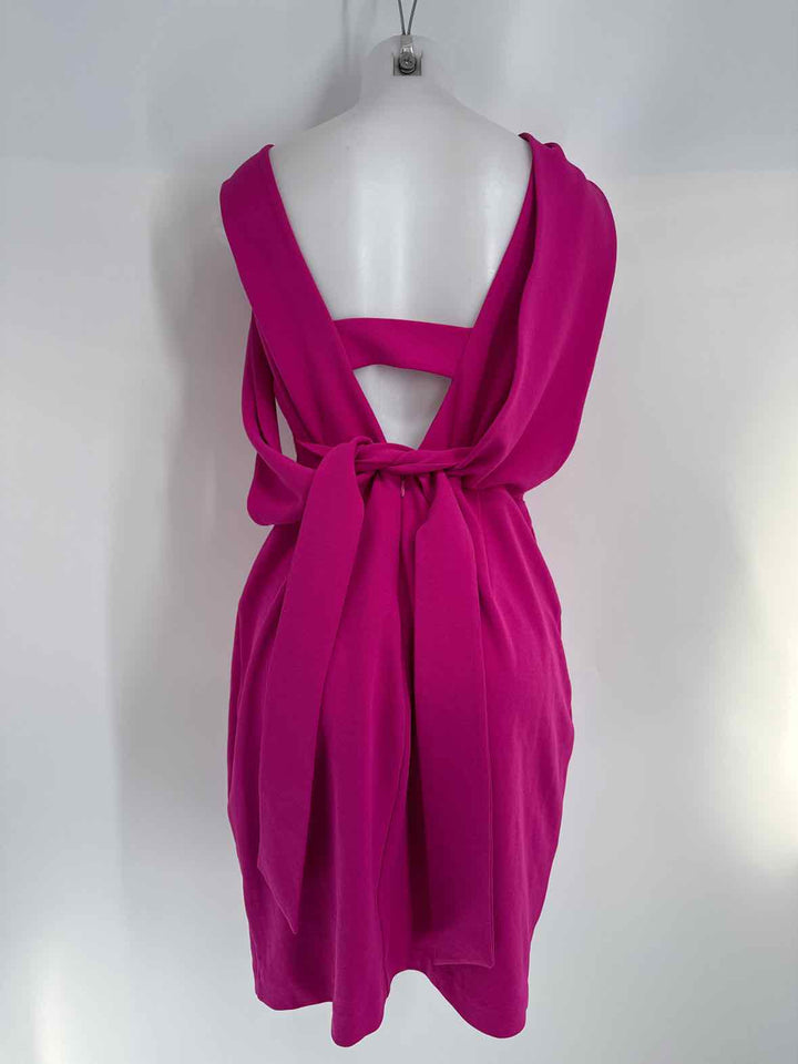 Size 8 Badgley Mischka Fuschia Dress