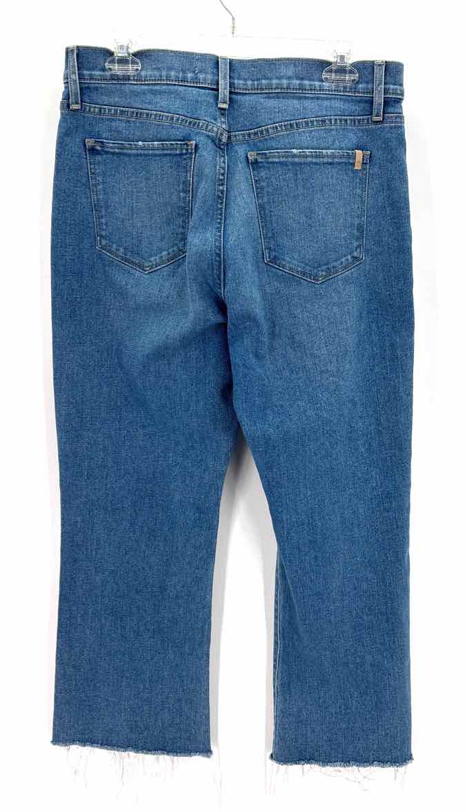 Size 31 JOES Blue Denim Jeans