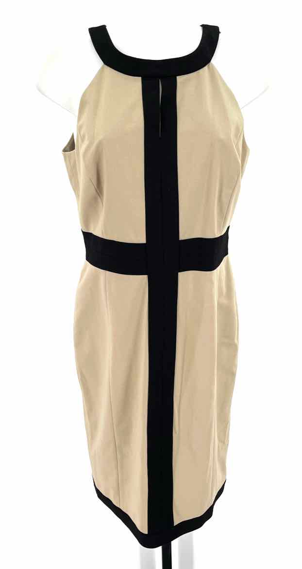 Size 10 Ann Taylor Tan Dress