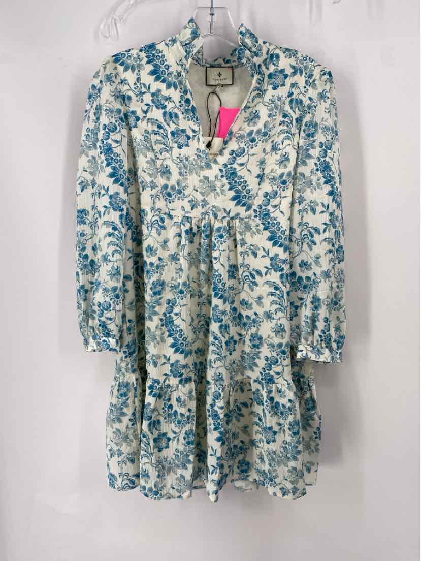 Size XS TUCKERNUCK Blue Print Dress