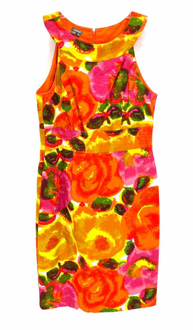 Size 10 MUSE Multi-Color Dress