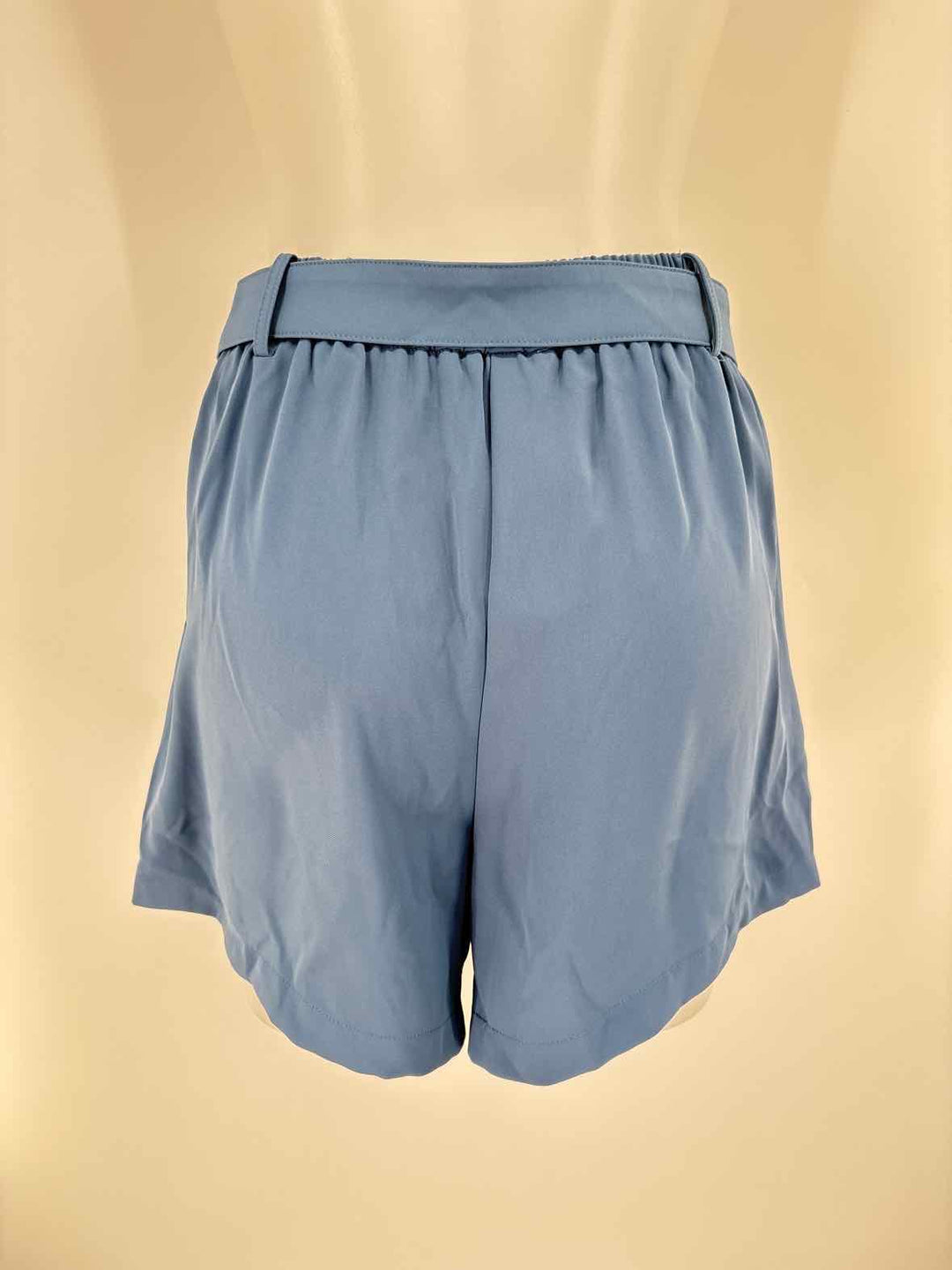 Size S Blue Shorts