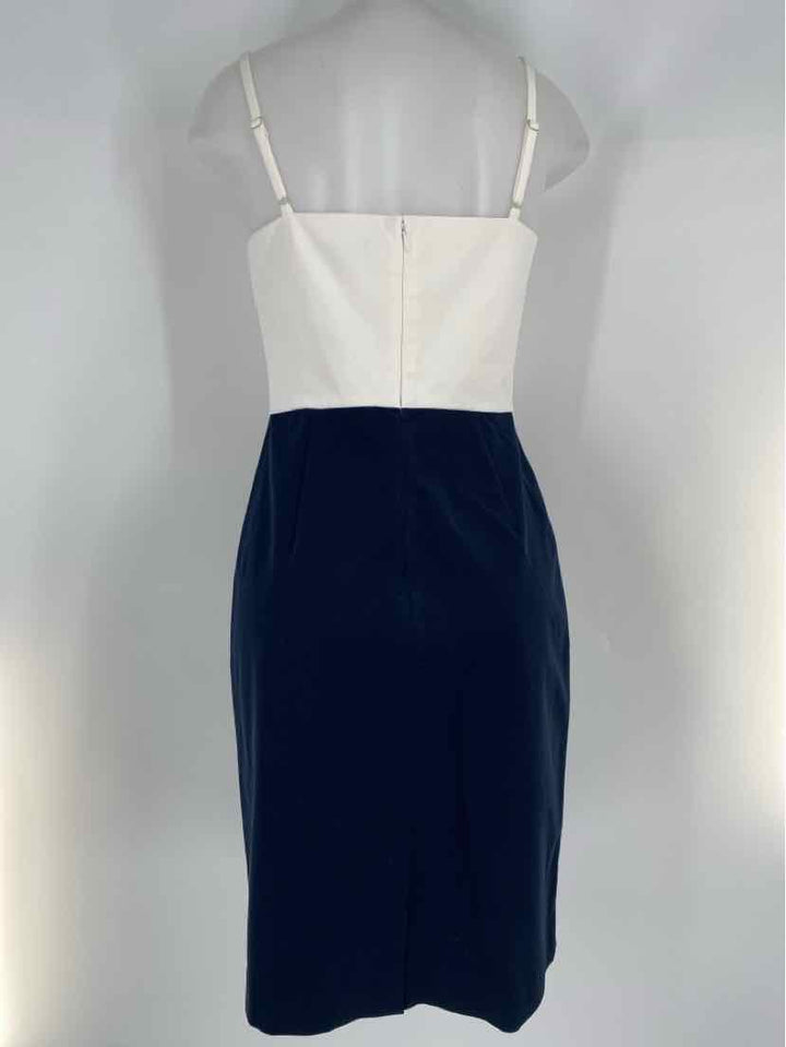 Size 8 Banana Republic Navy Dress