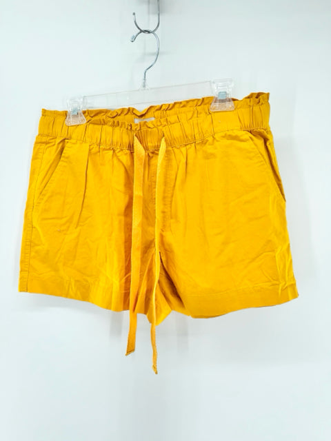 Size M LOFT Mustard Shorts