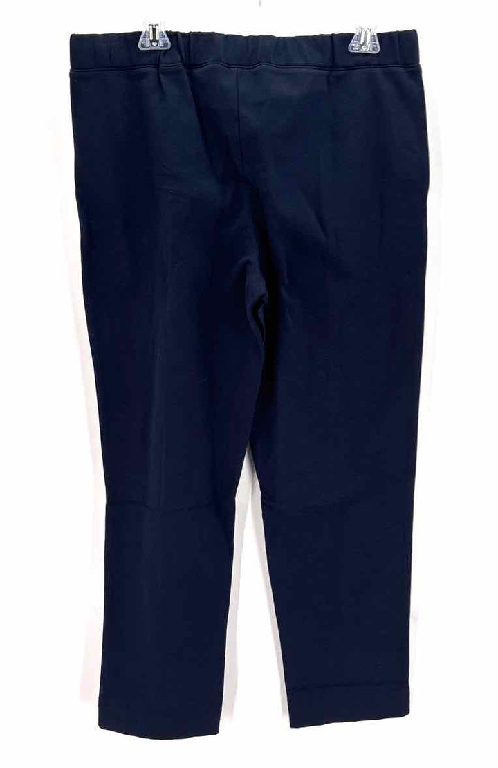 Size L J Crew Navy Knit Pants