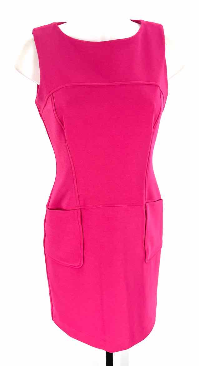 Size 6 Fuschia Dress