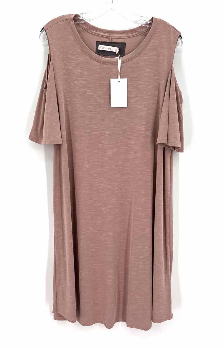 Size L Tan Dress