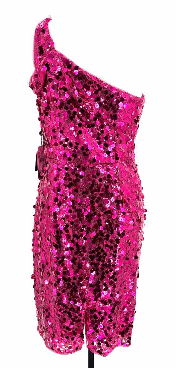 Size 12 Adrianna Papell Fuschia Dress