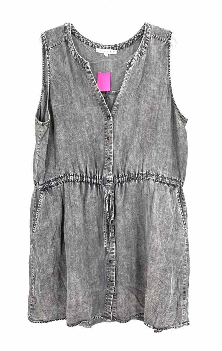 Size 1X Jane & Delaney Gray Dress