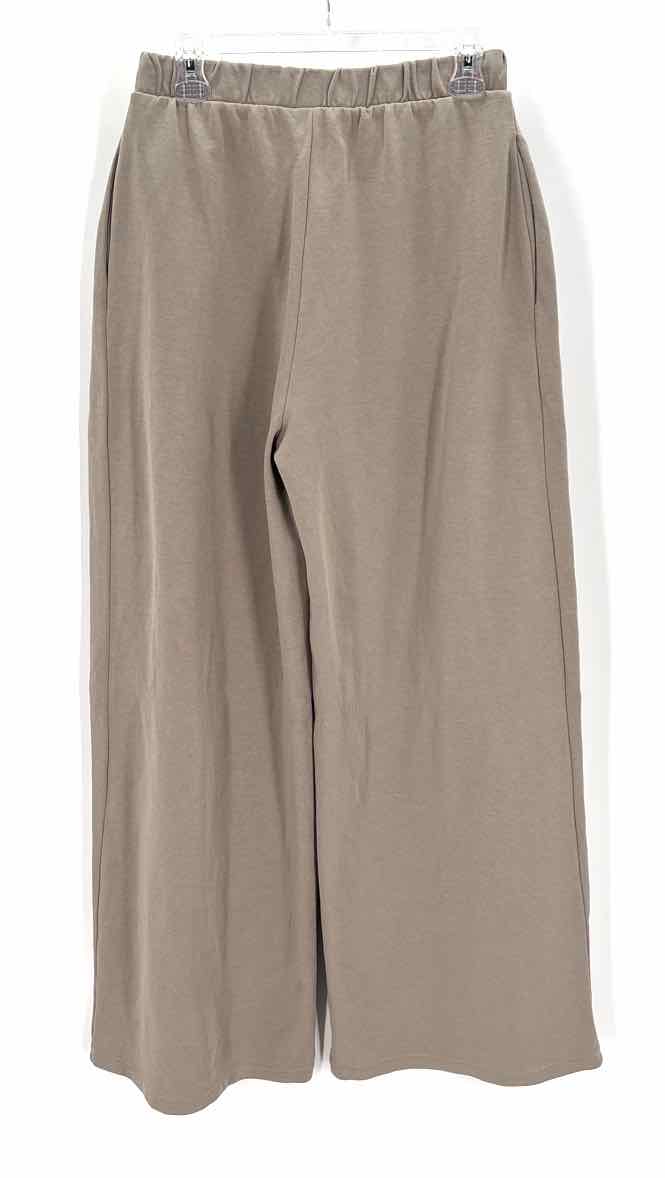 Size M ZARA Gray Pants