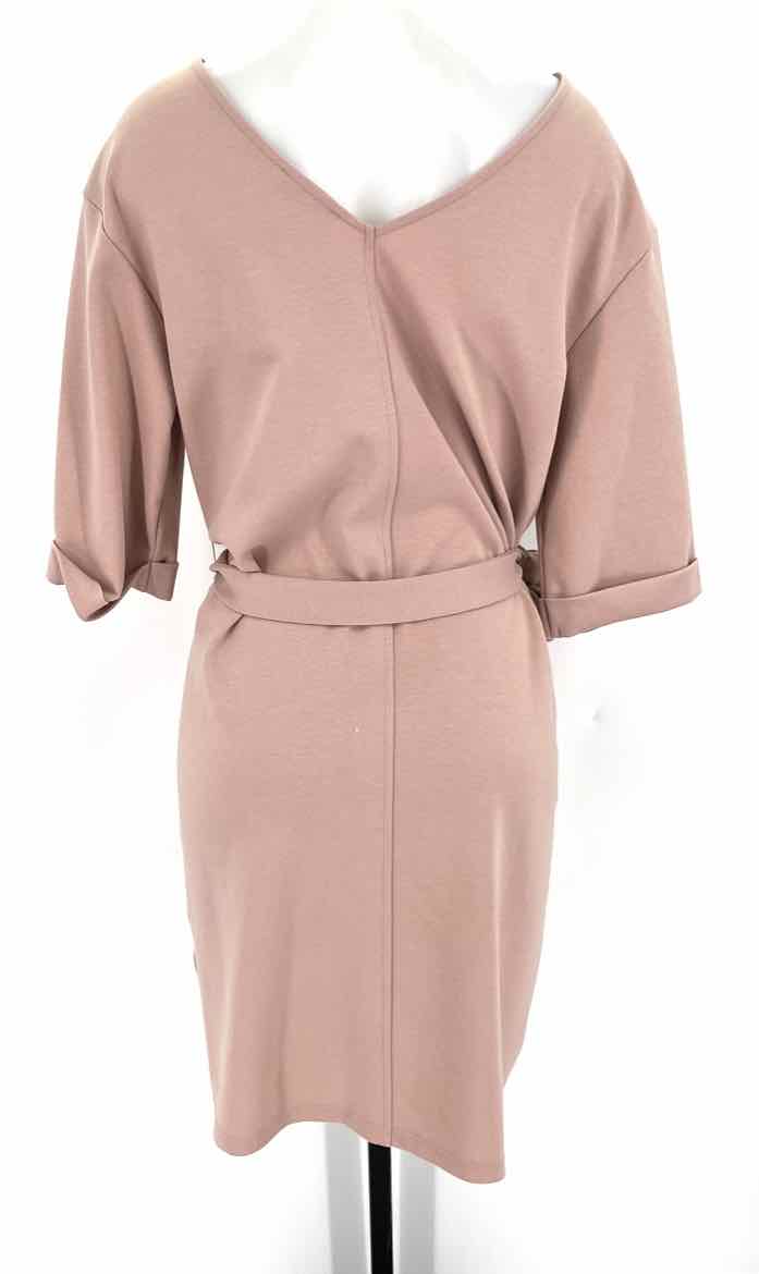 Size M Pink Dress