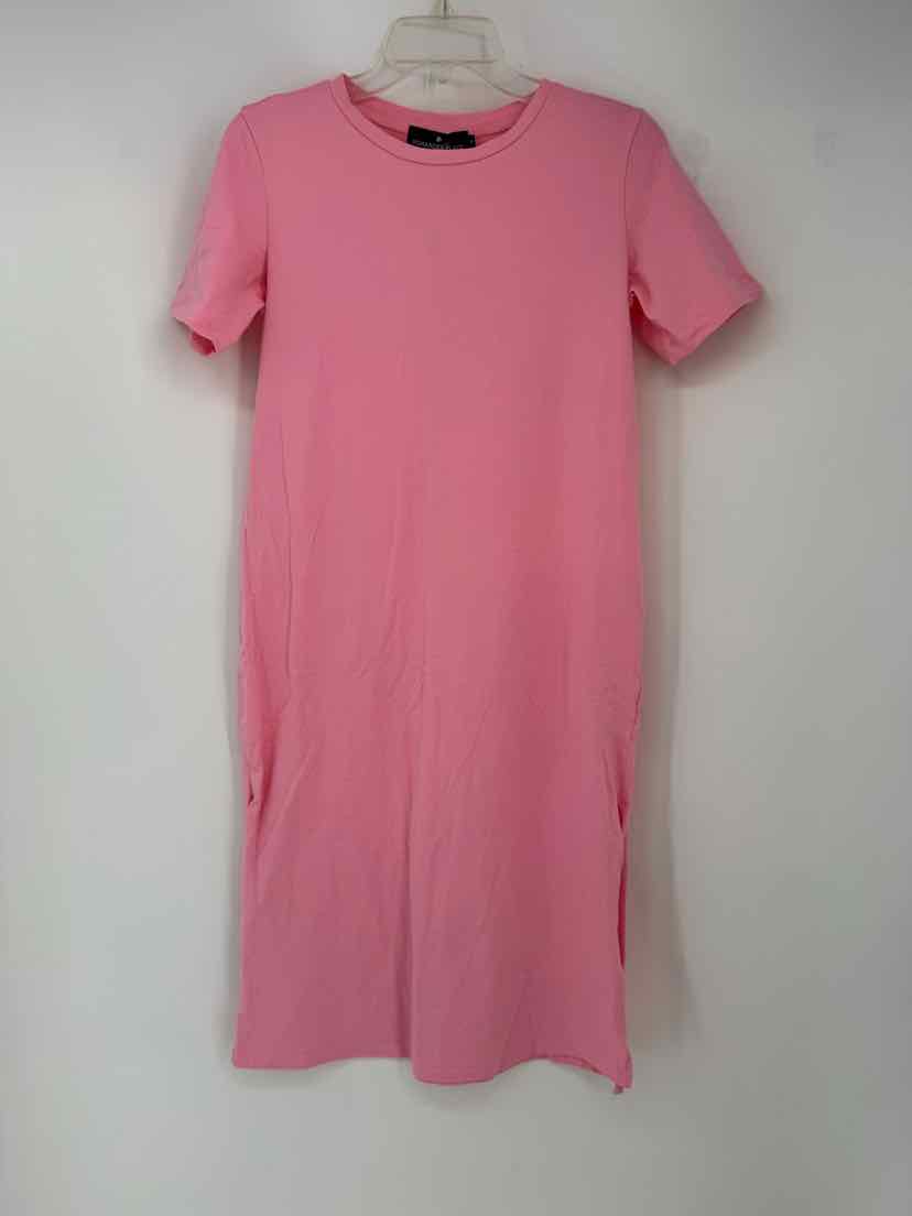 Size XS POMANDER PLACE Pink Dress