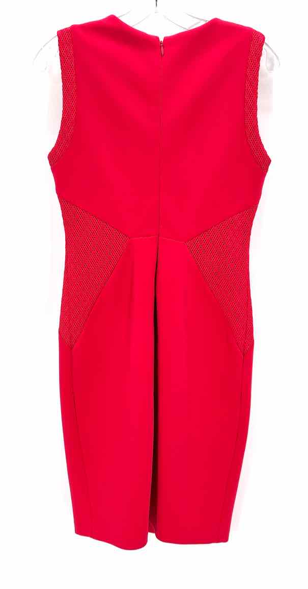 Size 4 Calvin Klein Pink Dress