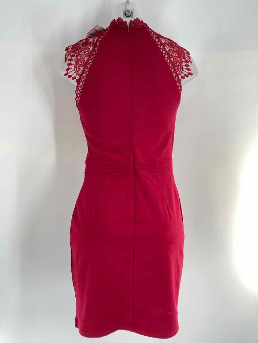 Size M Wine Dress