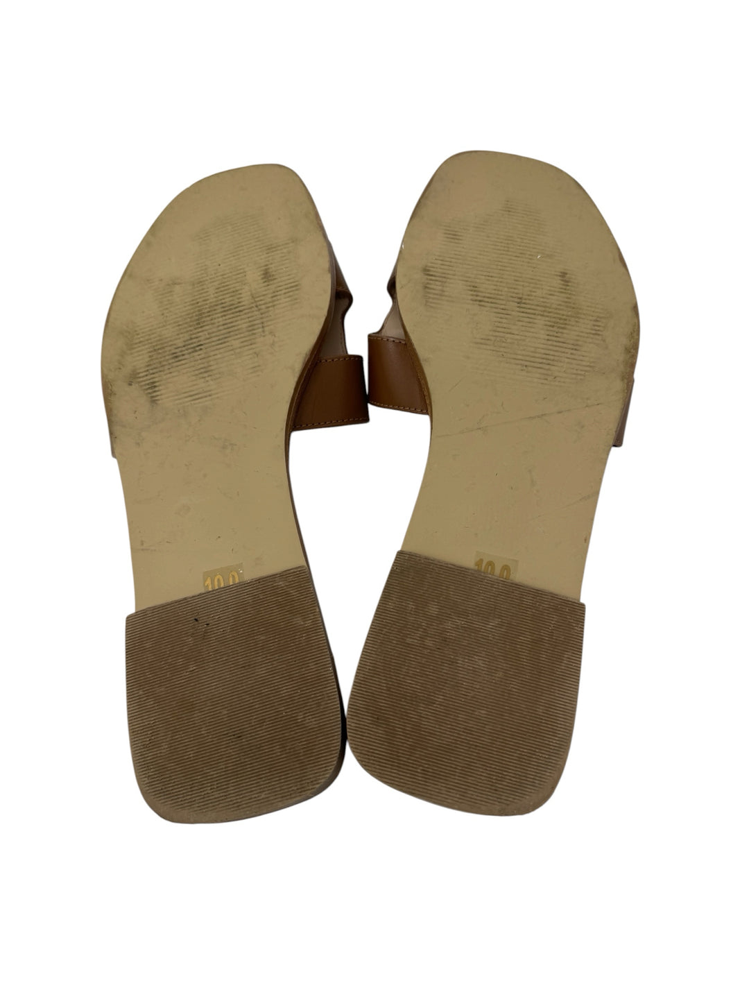 Shoe Size 10 Steve Madden Brown Leather Sandals