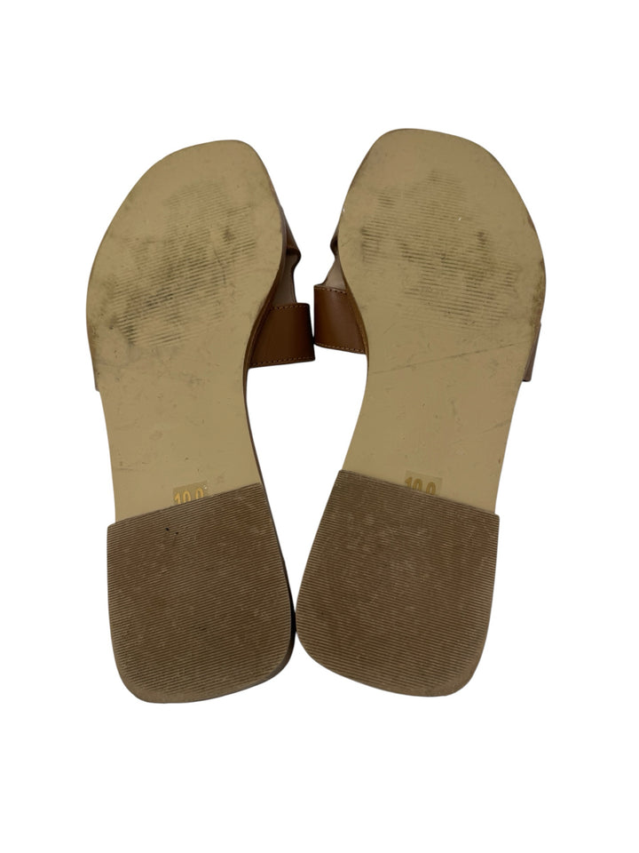 Shoe Size 10 Steve Madden Brown Leather Sandals
