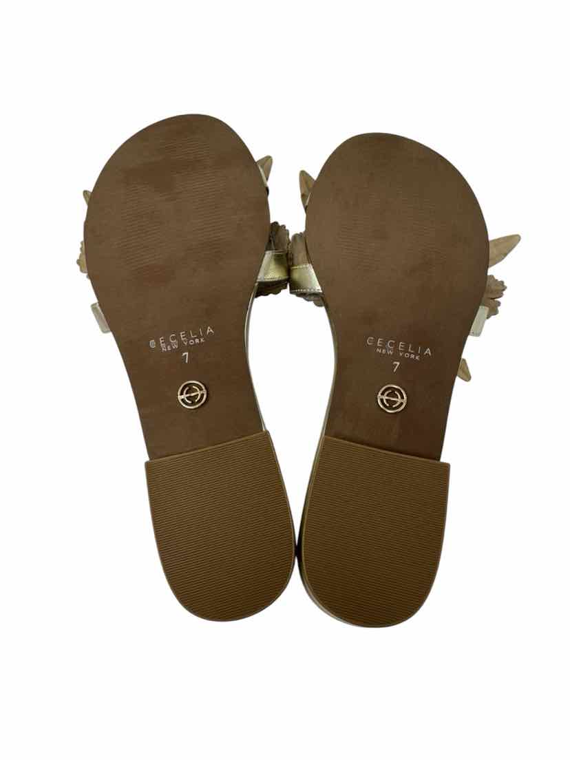 Shoe Size 7 Silver Sandals
