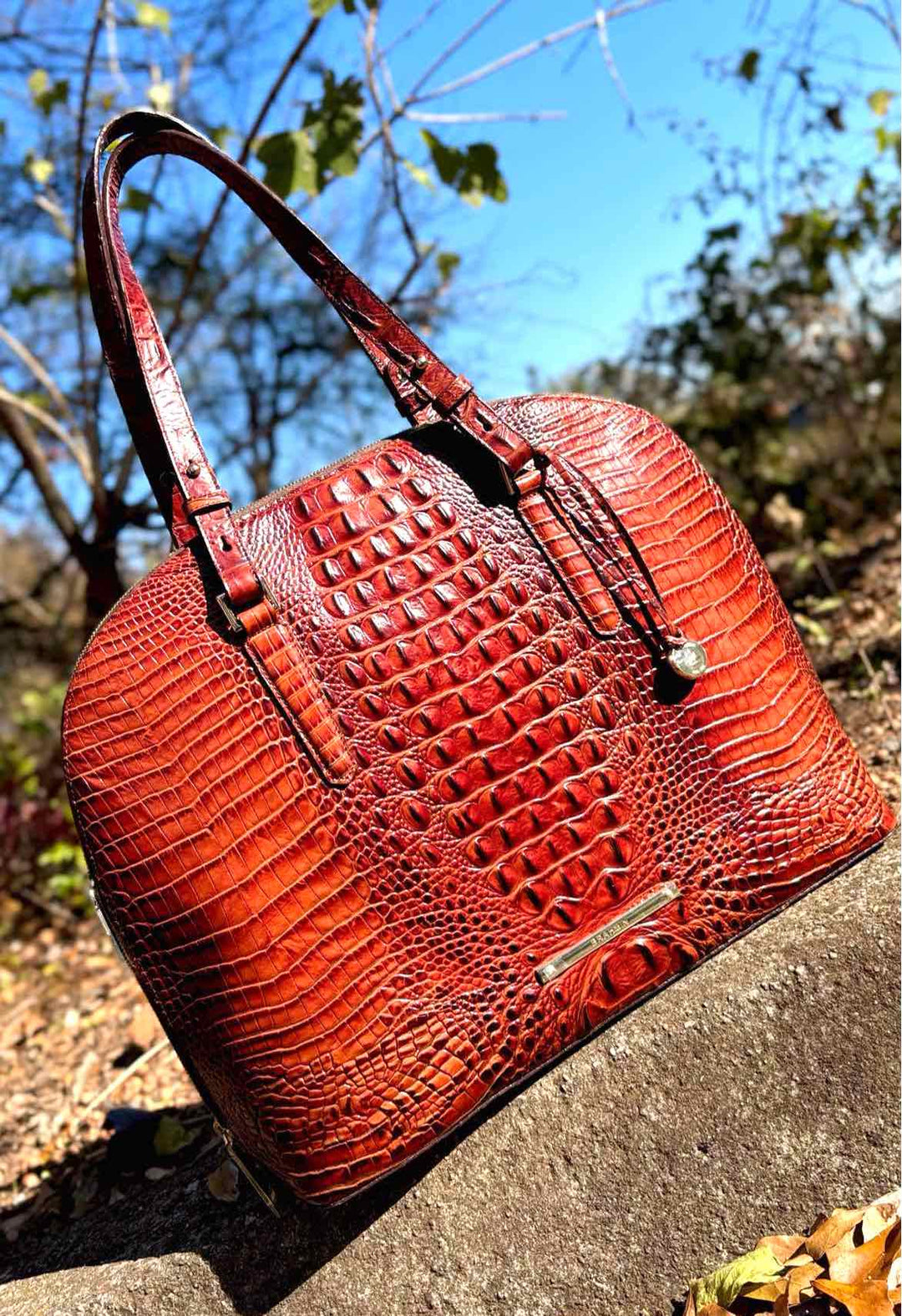 Brahmin Purse