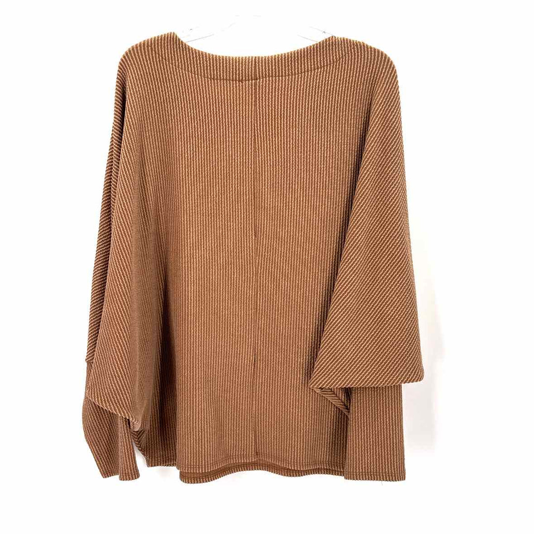Size 1X Brown 2 PC Dress