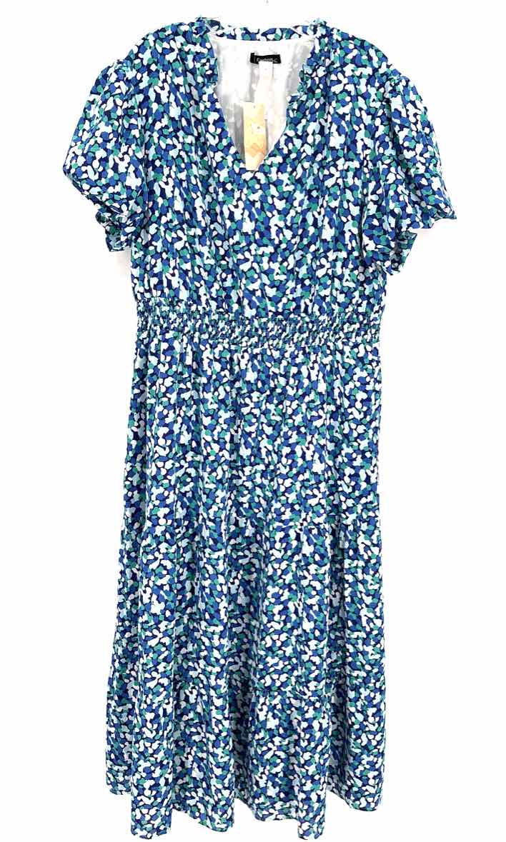 Size 2X Blue Print Dress
